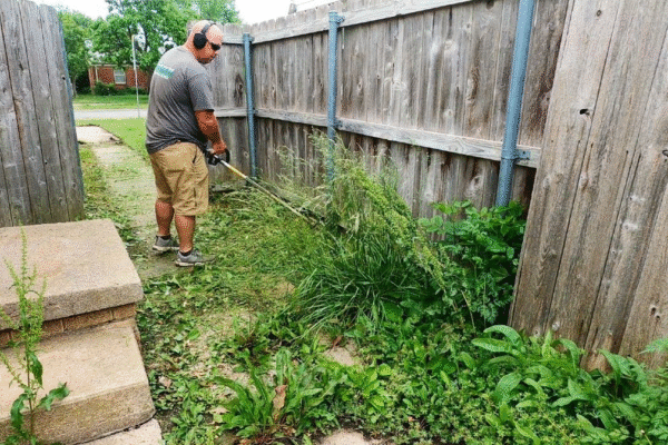 Top Benefits Of Regular Lawn Care Services For Property Value Lawn